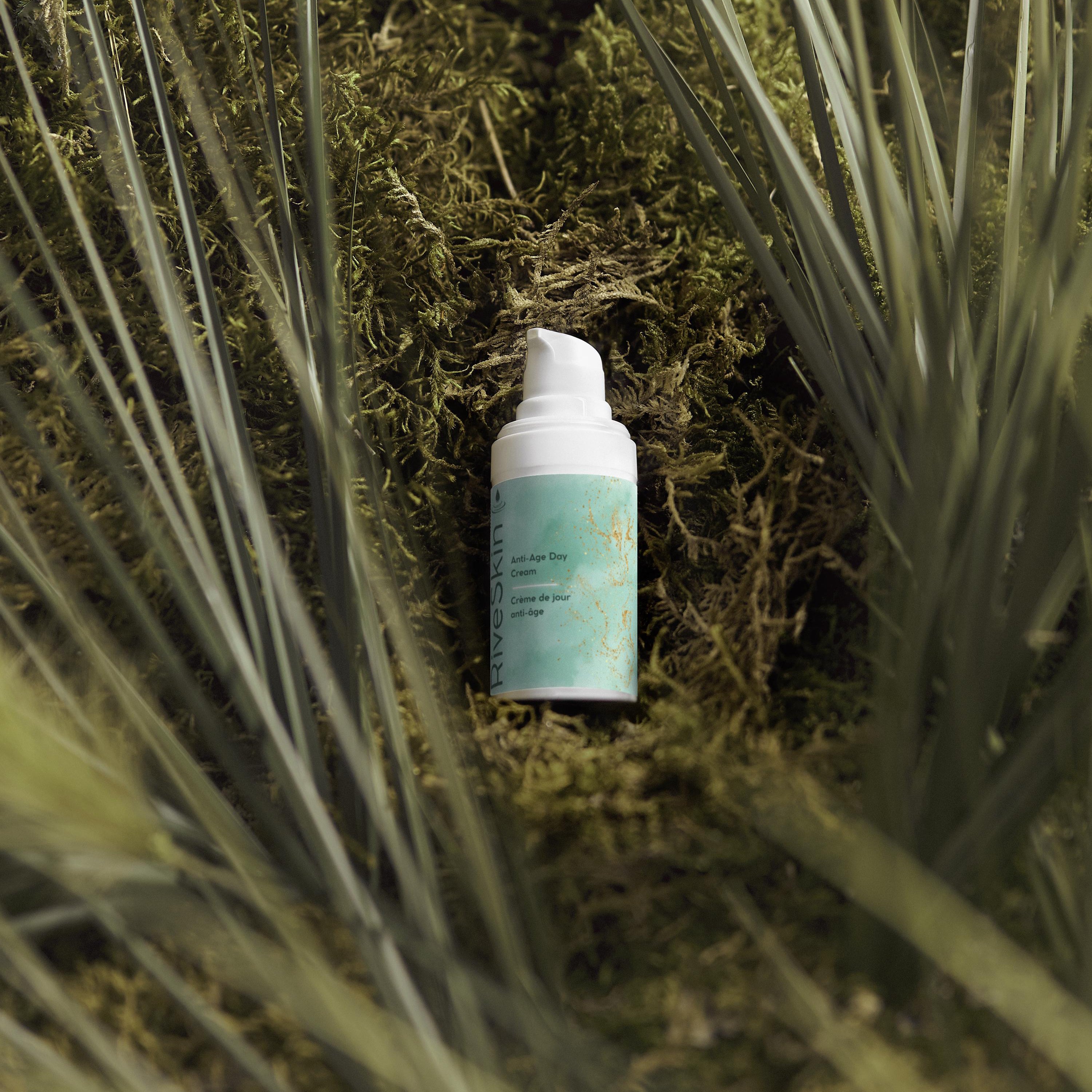 Summer Season Bestsellers Collection Box Selfnamed